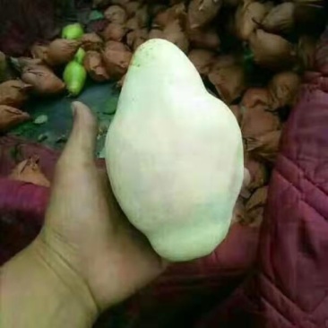 梨