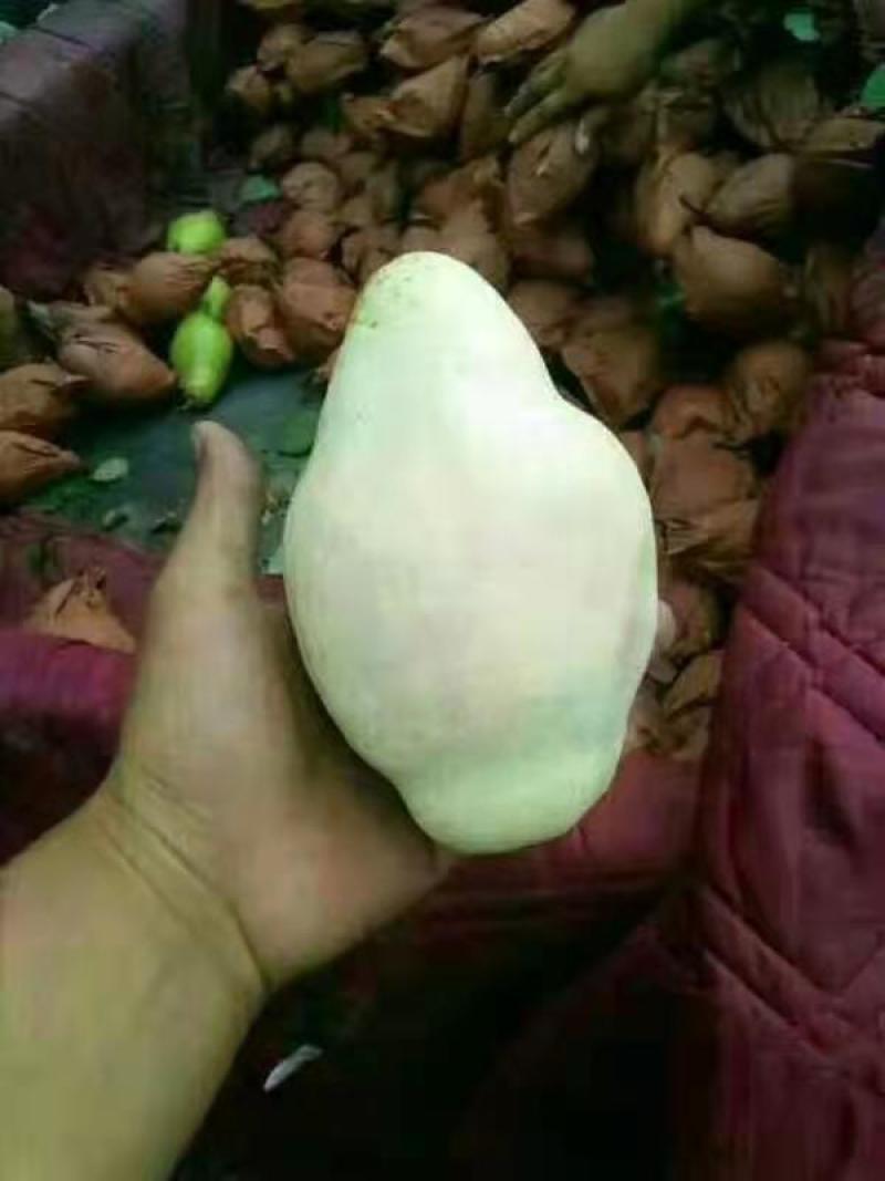 梨