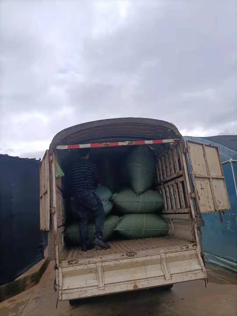 云南无硫人工晒干家种灯盏细辛可提取泡茶煮火锅云南天然植物