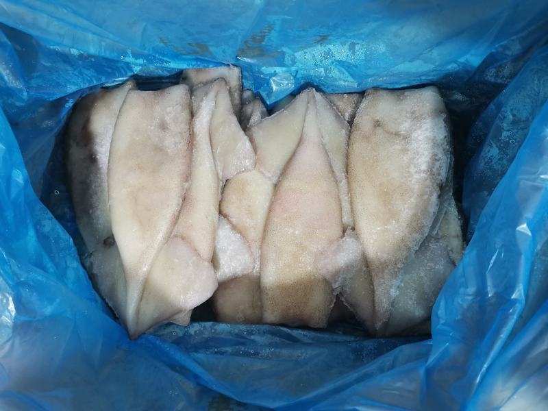 新鲜鱿鱼筒10斤无头鱿鱼海鲜冷冻铁板烧烤鱿鱼身包邮