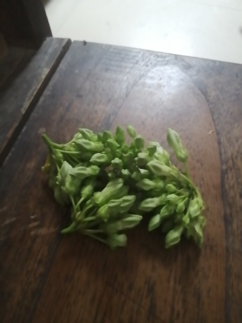 夜香花千里香，大糯花！品种香糯蔬菜