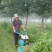 碎草机小型秸秆还田机果园除草机四驱柴油汽油家用手扶式灭茬