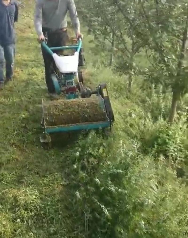 碎草机小型秸秆还田机果园除草机四驱柴油汽油家用手扶式灭茬