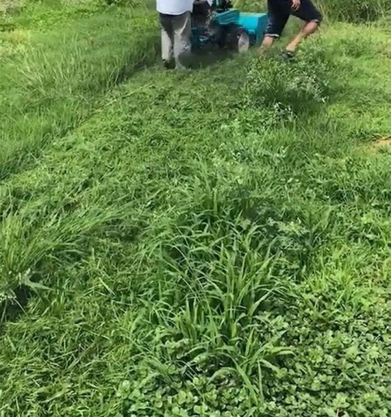 碎草机小型秸秆还田机果园除草机四驱柴油汽油家用手扶式灭茬