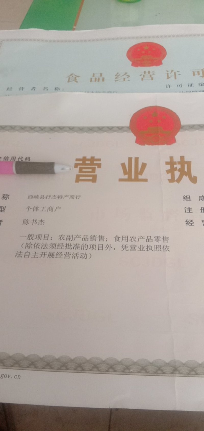 野生灵芝
