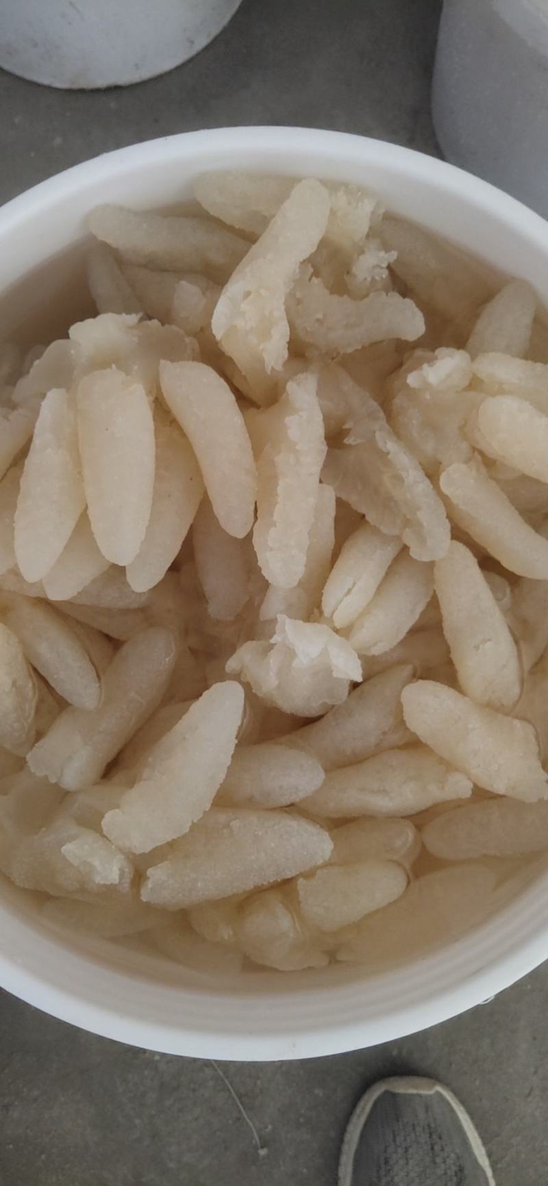 八爪海蜇头，一手货源，各种规格海蜇丝、海蜇皮，欢迎订购