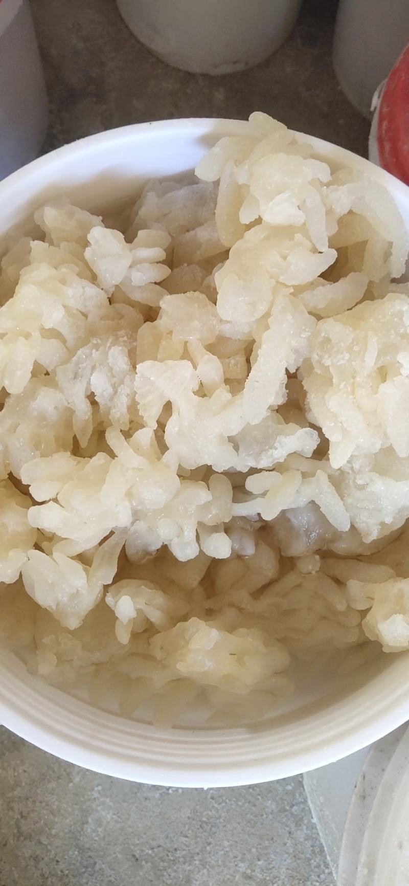 八爪海蜇头，一手货源，各种规格海蜇丝、海蜇皮，欢迎订购