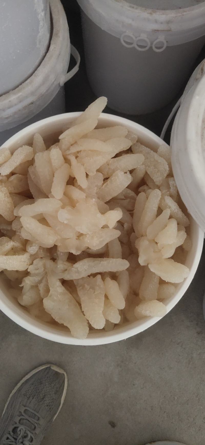 八爪海蜇头，一手货源，各种规格海蜇丝、海蜇皮，欢迎订购