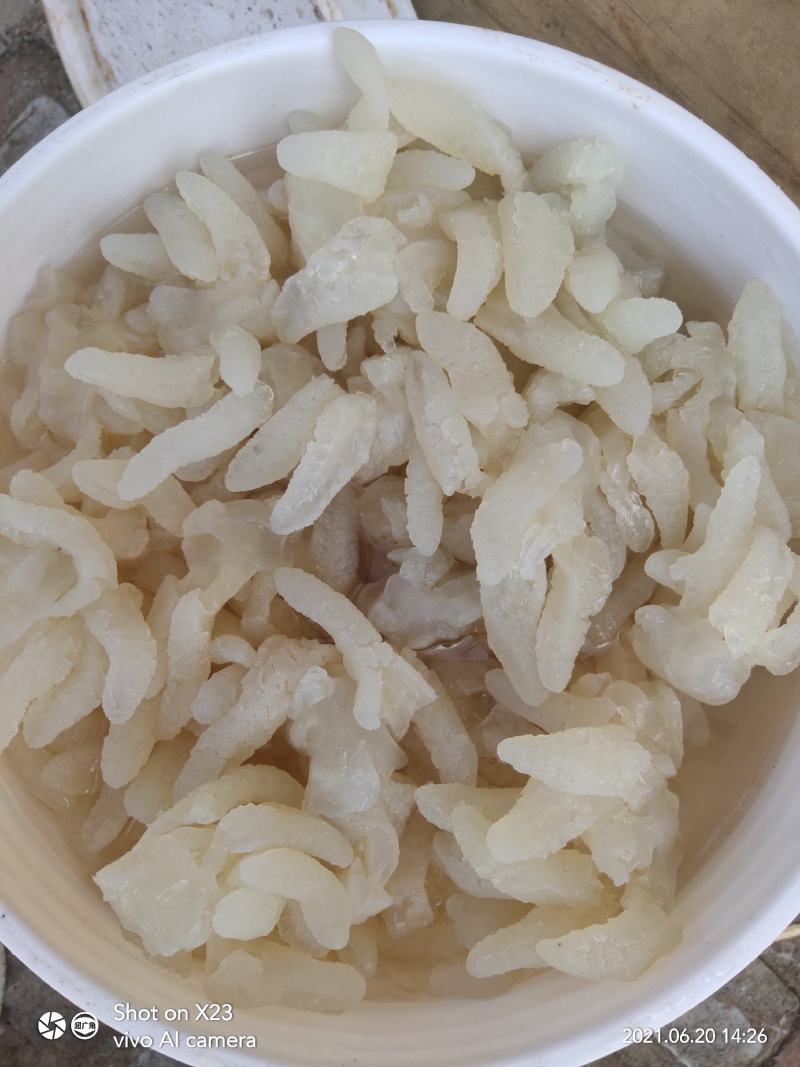 八爪海蜇头，一手货源，各种规格海蜇丝、海蜇皮，欢迎订购