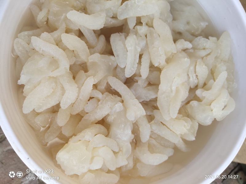八爪海蜇头，一手货源，各种规格海蜇丝、海蜇皮，欢迎订购
