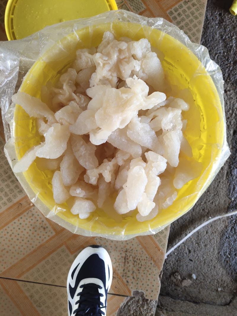 八爪海蜇头，一手货源，各种规格海蜇丝、海蜇皮，欢迎订购
