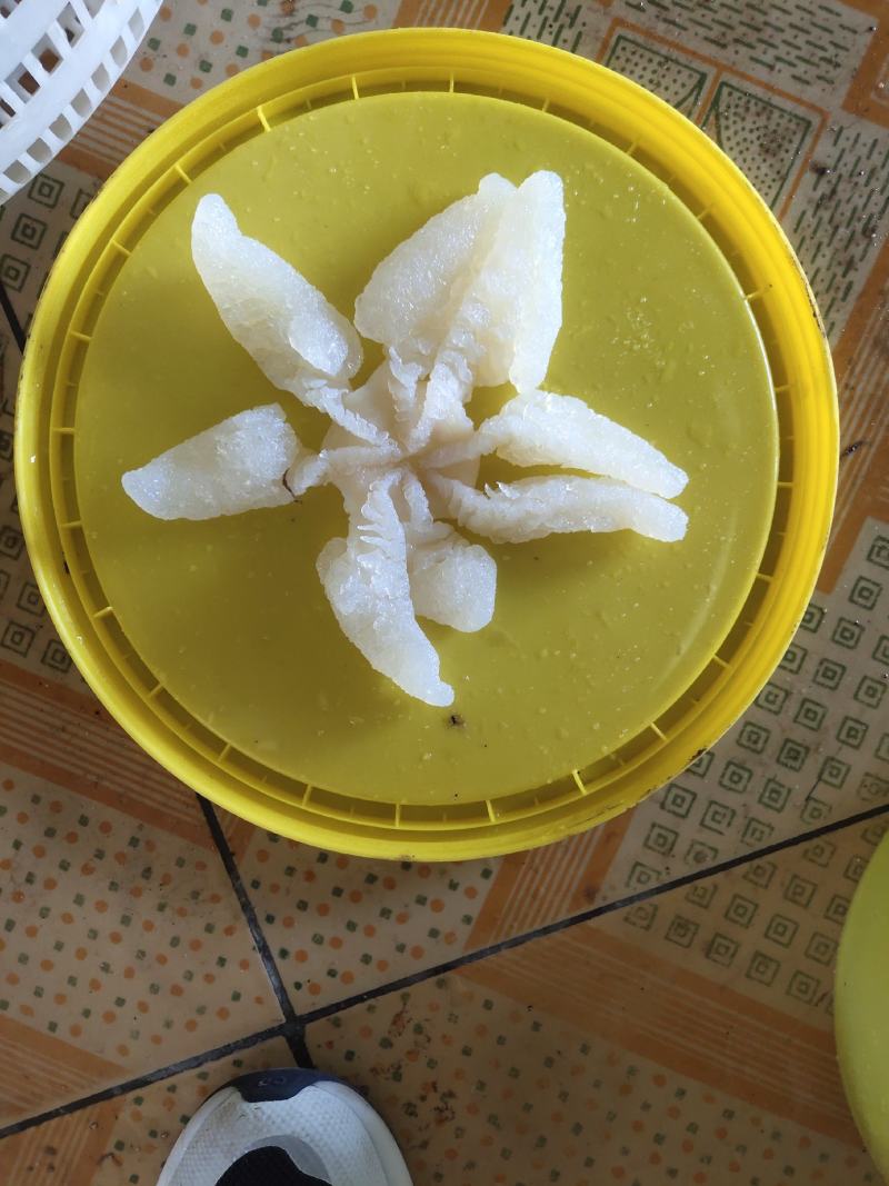 八爪海蜇头，一手货源，各种规格海蜇丝、海蜇皮，欢迎订购