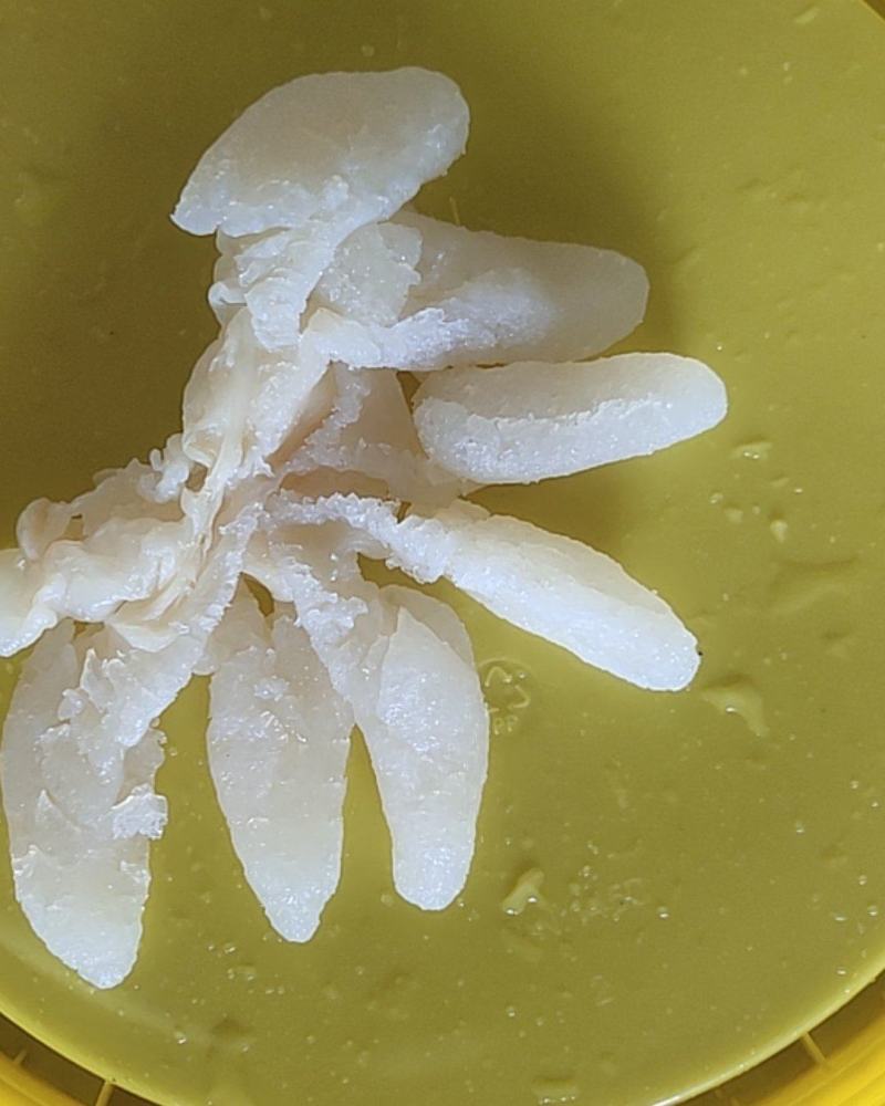 八爪海蜇头，一手货源，各种规格海蜇丝、海蜇皮，欢迎订购