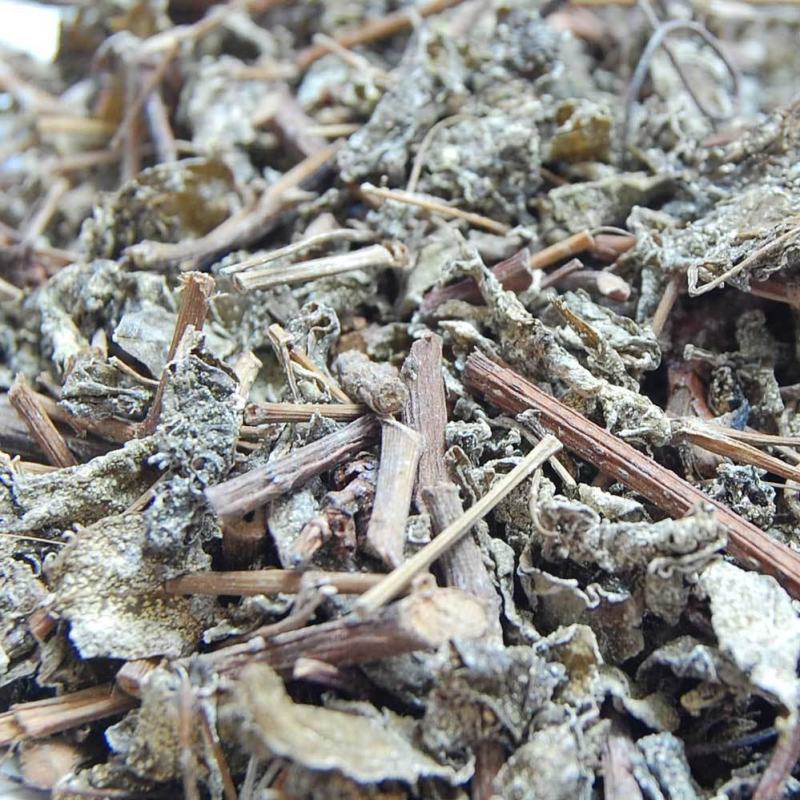 广西大瑶山正宗野生莓茶
