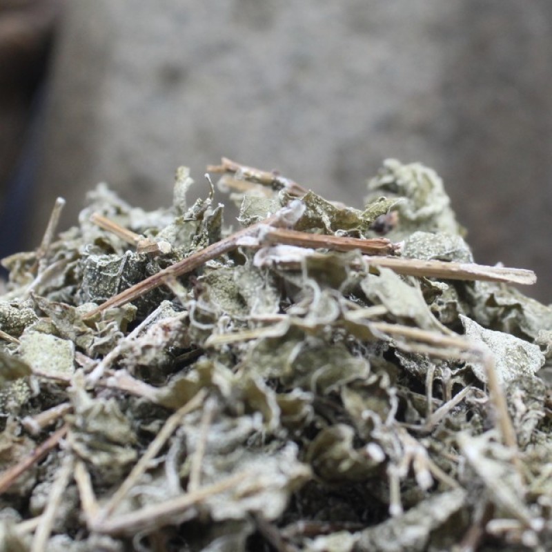 广西大瑶山正宗野生莓茶