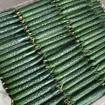 大棚亮条黄瓜大量上市，大量有货，质量很好，价格便宜。。。