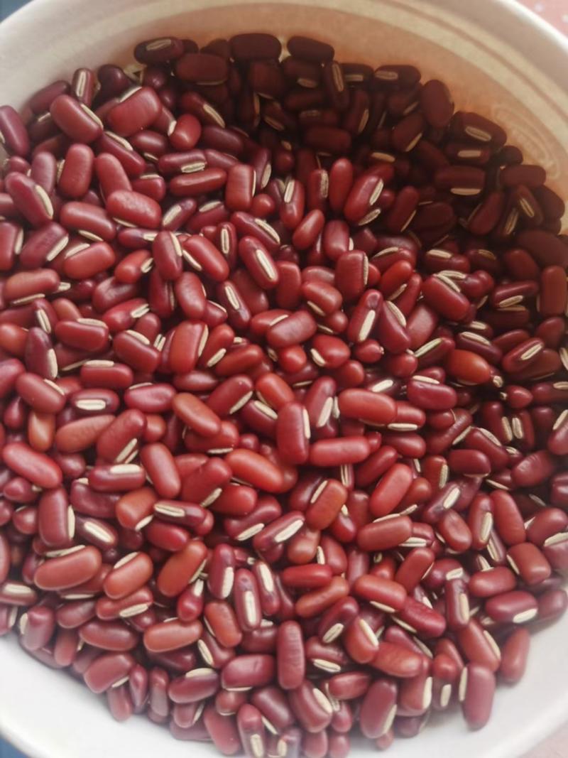 泰国赤小豆，昆明现货，抛光精选，可看现货。