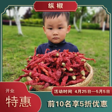 干辣椒新疆纵椒二荆条微辣又香500g干红辣椒香辣皱皮椒