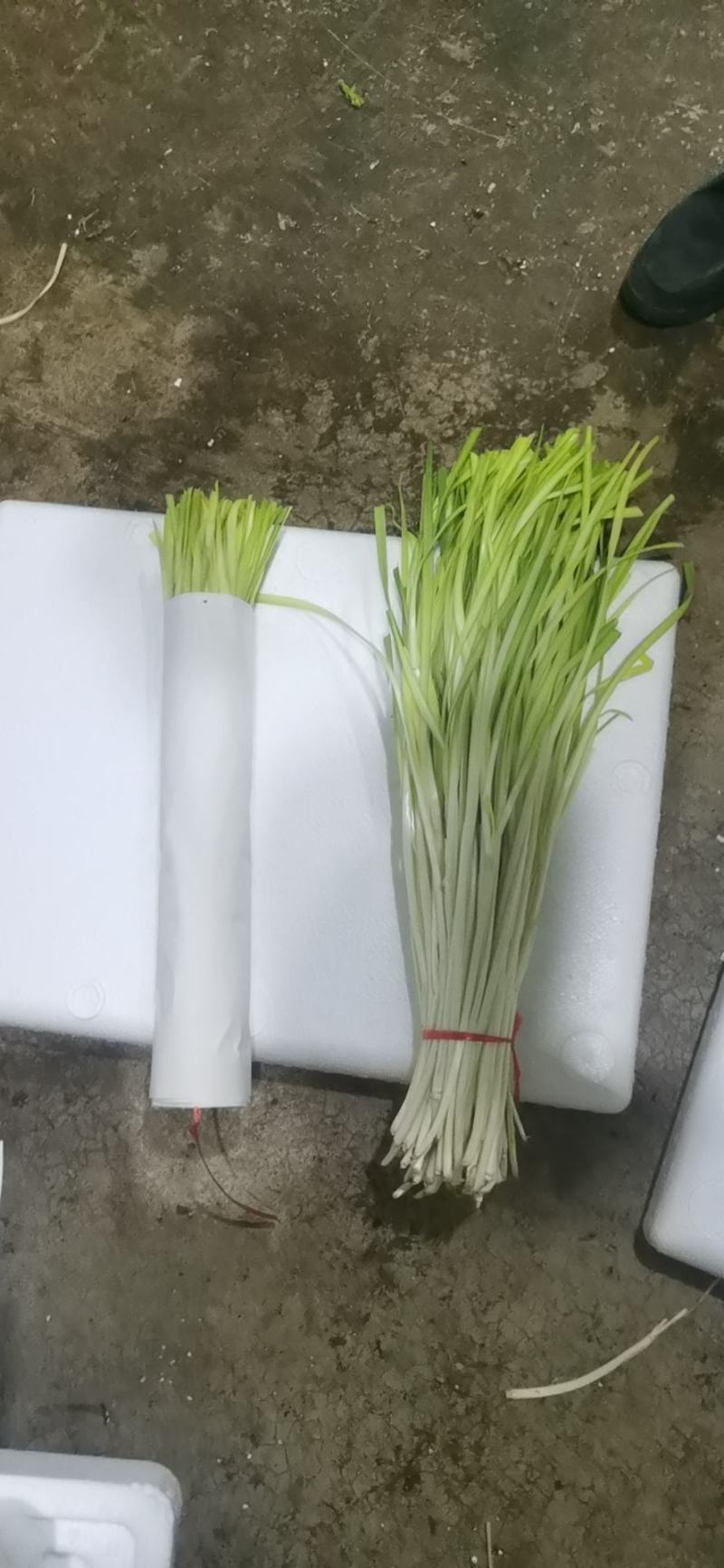 果蔬