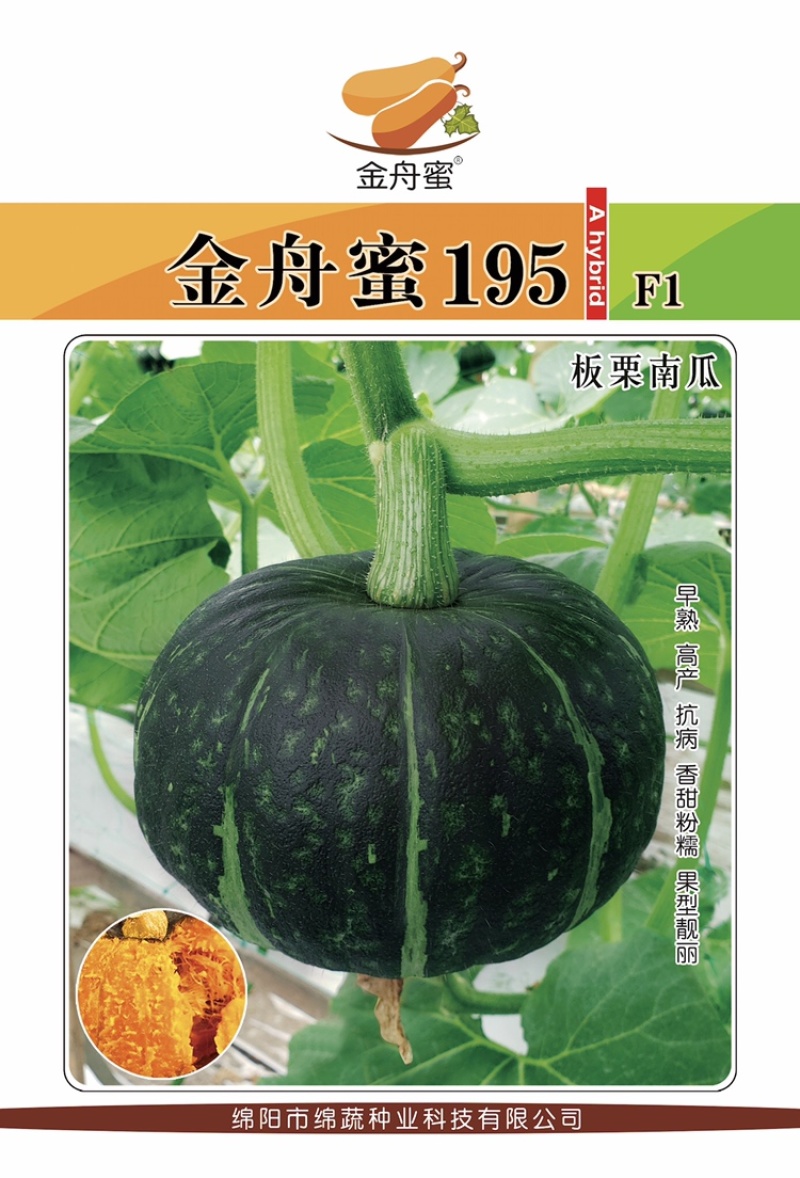 金舟蜜195/南瓜种子/板栗南瓜种子/蔬菜种子