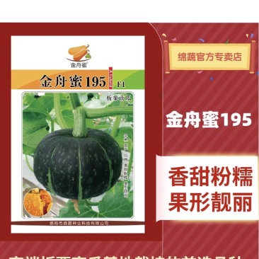 金舟蜜195/南瓜种子/板栗南瓜种子/蔬菜种子