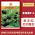金舟蜜216/南瓜种子/贝贝南瓜种子/绵蔬种业/蔬菜种子