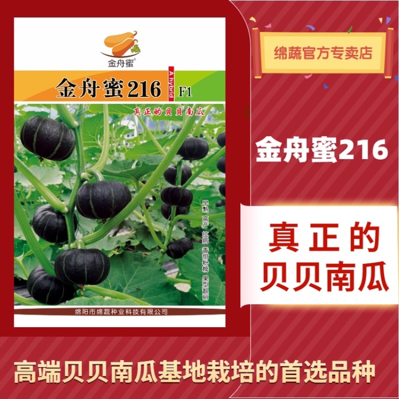 金舟蜜216/南瓜种子/贝贝南瓜种子/绵蔬种业/蔬菜种子