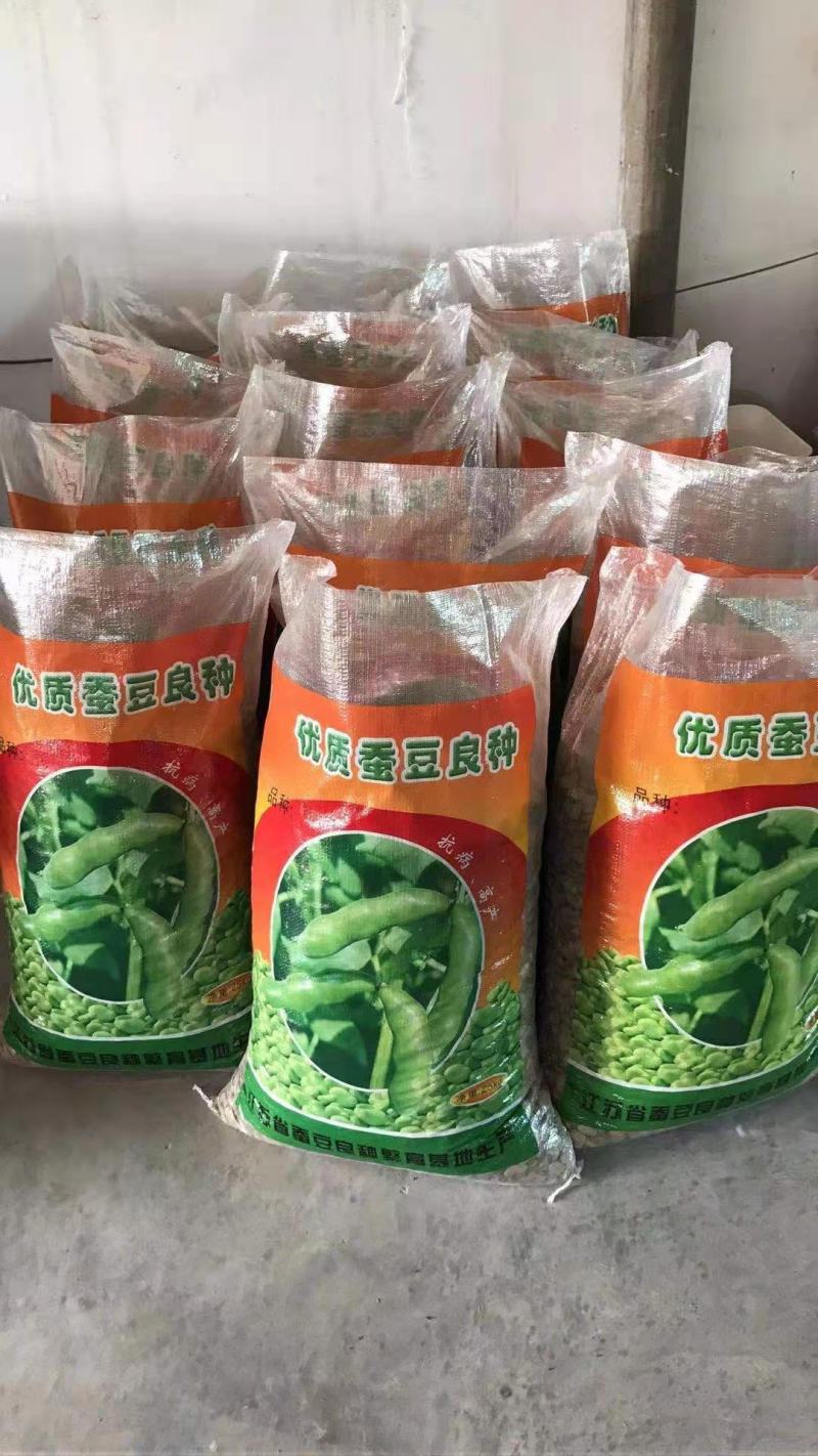 精品蚕豆种子以上是，有需要的老板随时联系，大量有货