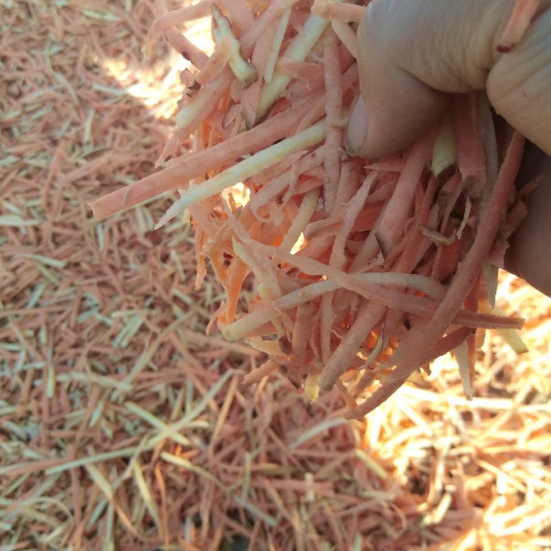 周宁特产地瓜丝干农家自制手工推丝自然晒干地瓜米红薯番薯干