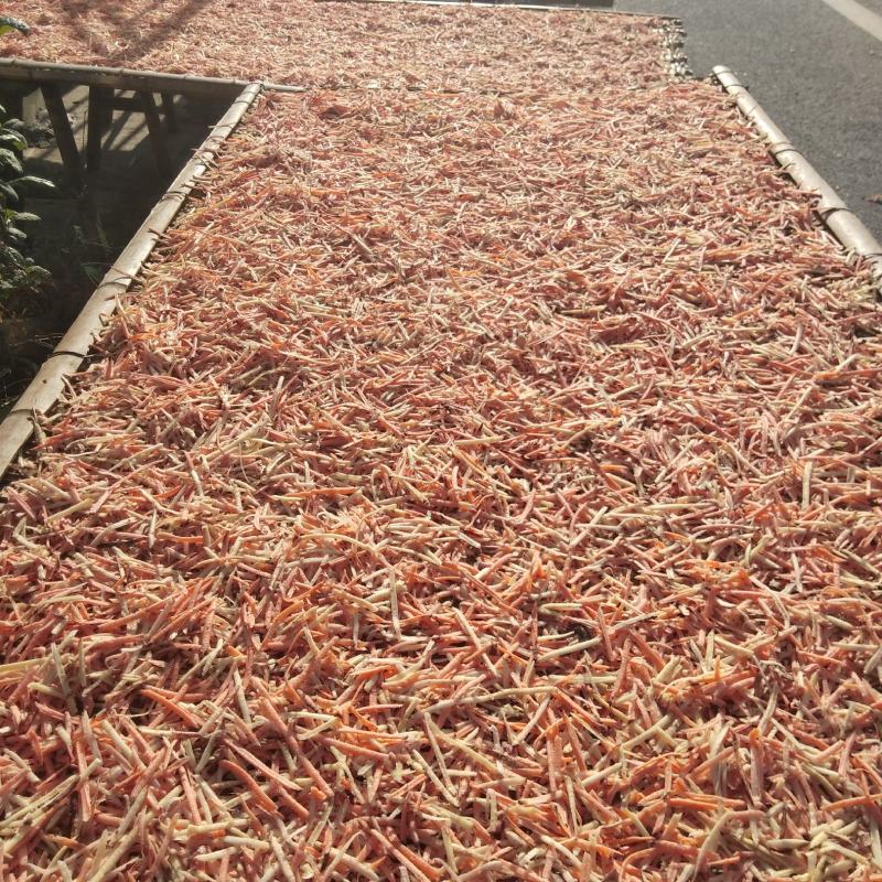 周宁特产地瓜丝干农家自制手工推丝自然晒干地瓜米红薯番薯干
