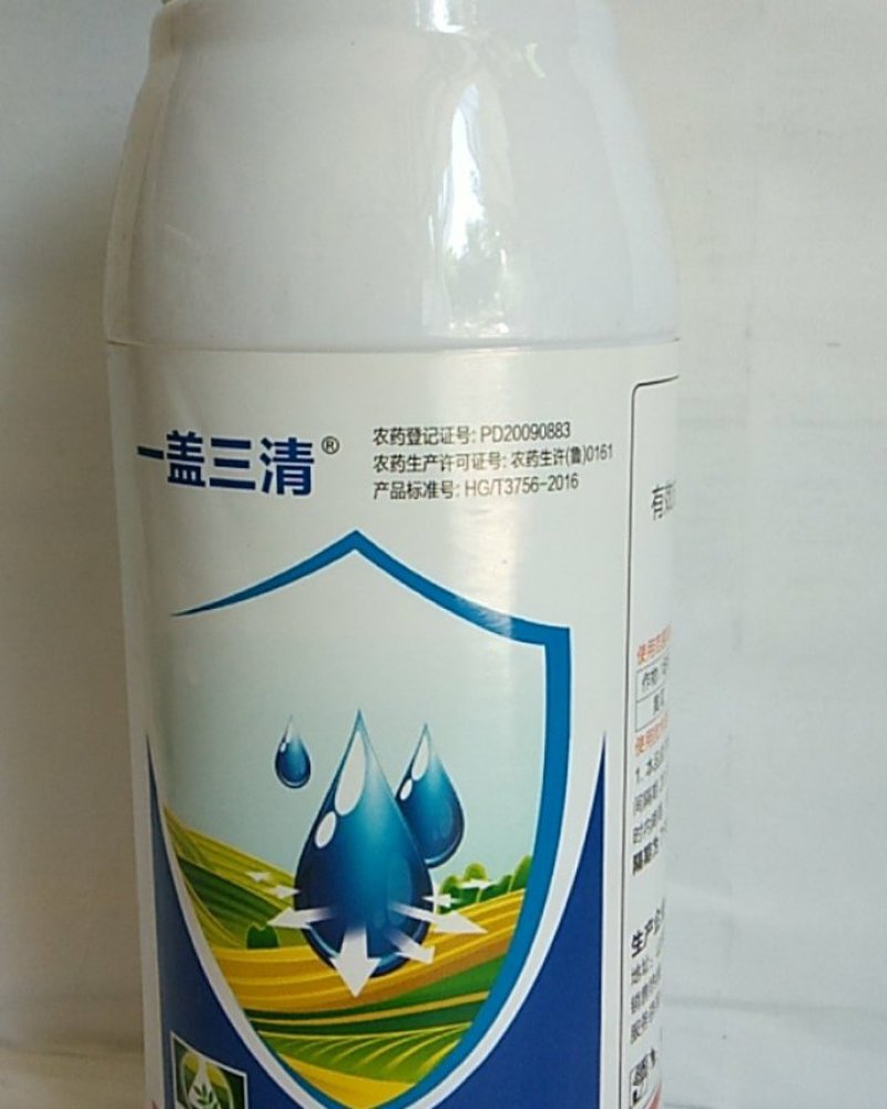 5啶虫脒可防治蚜虫飞虱叶婵粉虱蓟马跳甲效果突出