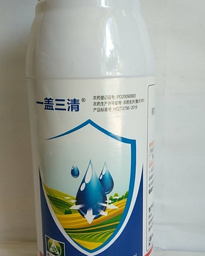 5啶虫脒可防治蚜虫飞虱叶婵粉虱蓟马跳甲效果突出
