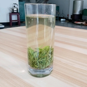 信阳毛尖商城高山茶