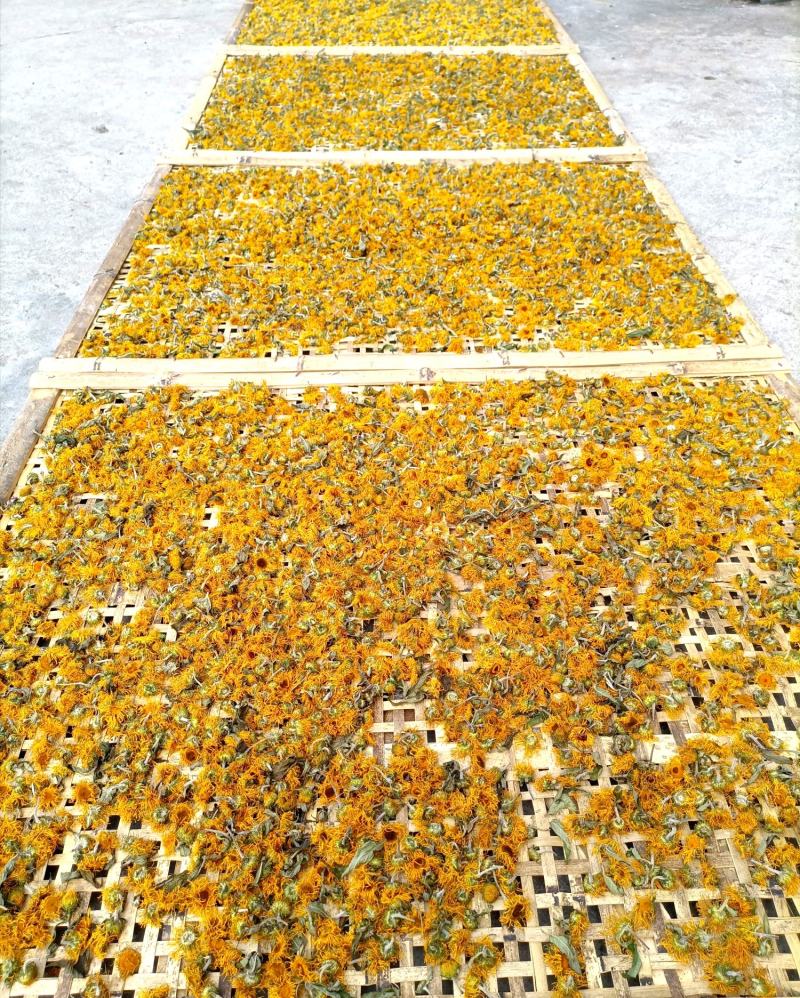 旋覆花贵州野生金钱菊水葵花2021年新品干货
