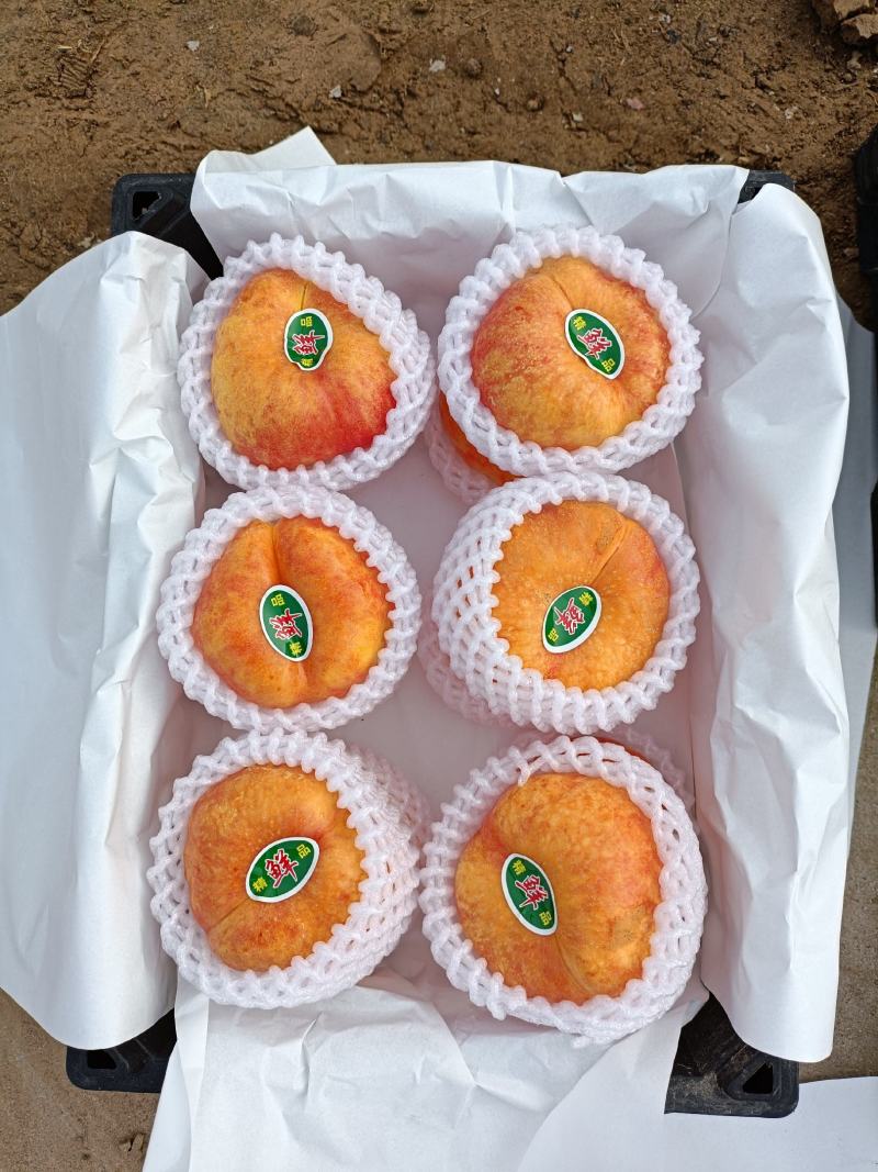 油蟠桃毛蟠桃黄金密毛桃质量好产地直发质量保证货源充足