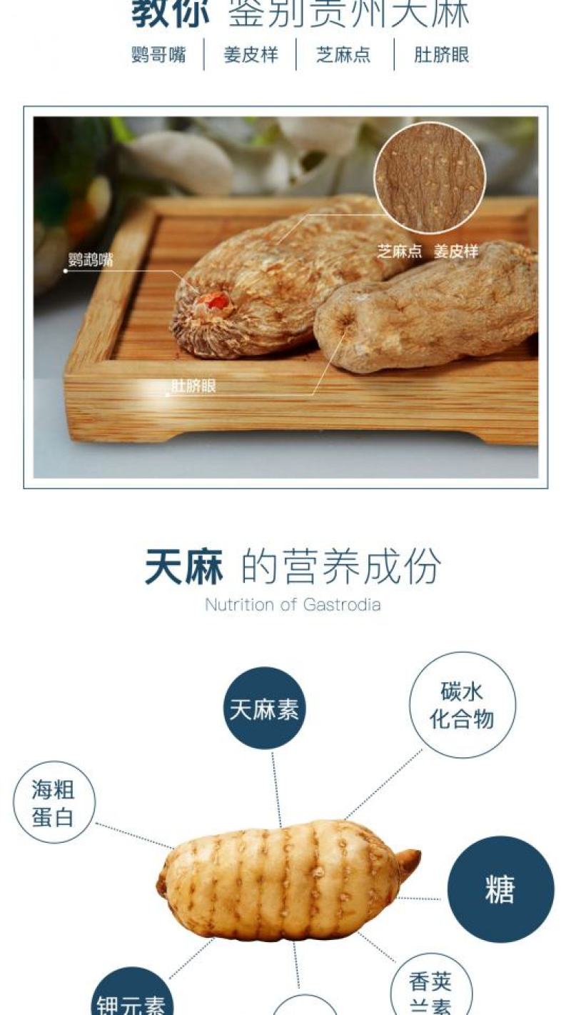 多彩贵州云上乌蒙天麻山（贵州天麻30g）