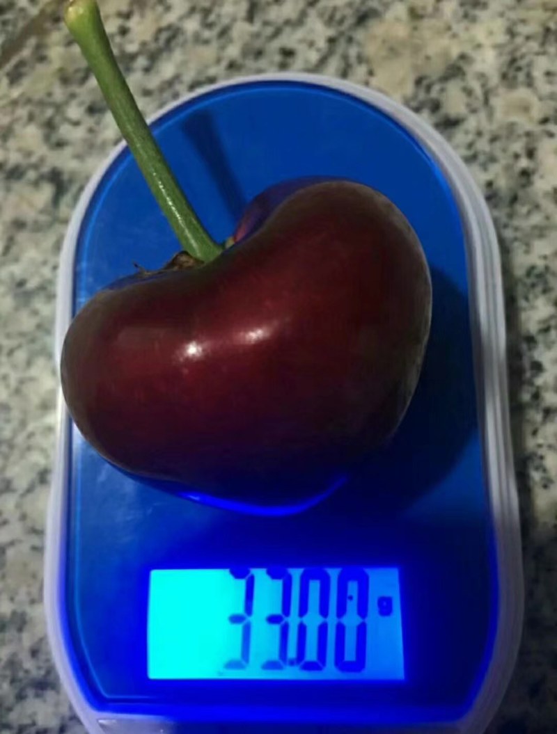 红车厘子大樱桃，图片视频看货，保质保量！