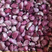 紫皮大蒜种子红头蒜苗出蒜苔高原小香蒜头蒜瓣5斤包邮