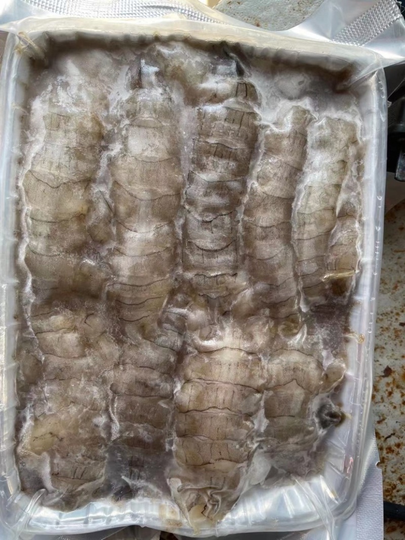 新鲜皮皮虾肉爬虾肉琵笆虾肉虾姑肉濑尿虾肉做馅炒菜虾婆肉