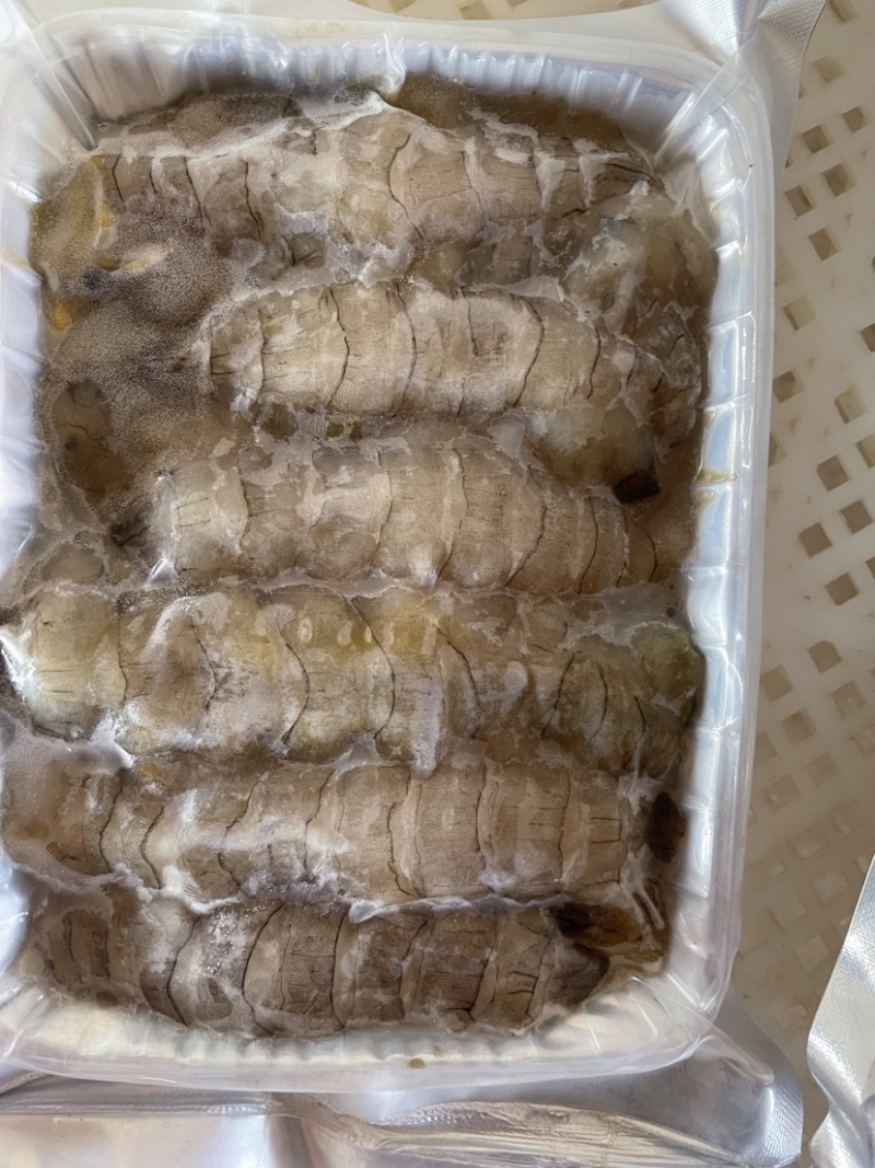 新鲜皮皮虾肉爬虾肉琵笆虾肉虾姑肉濑尿虾肉做馅炒菜虾婆肉