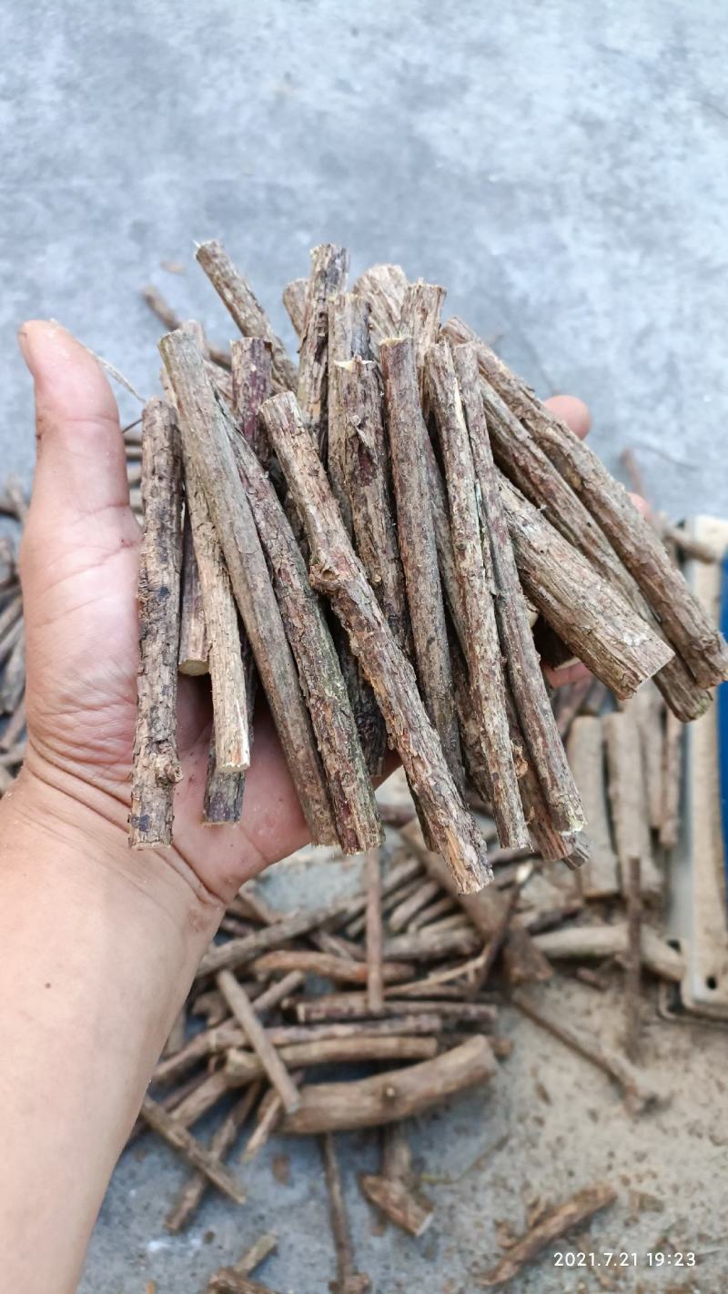 木天蓼猫磨牙零食