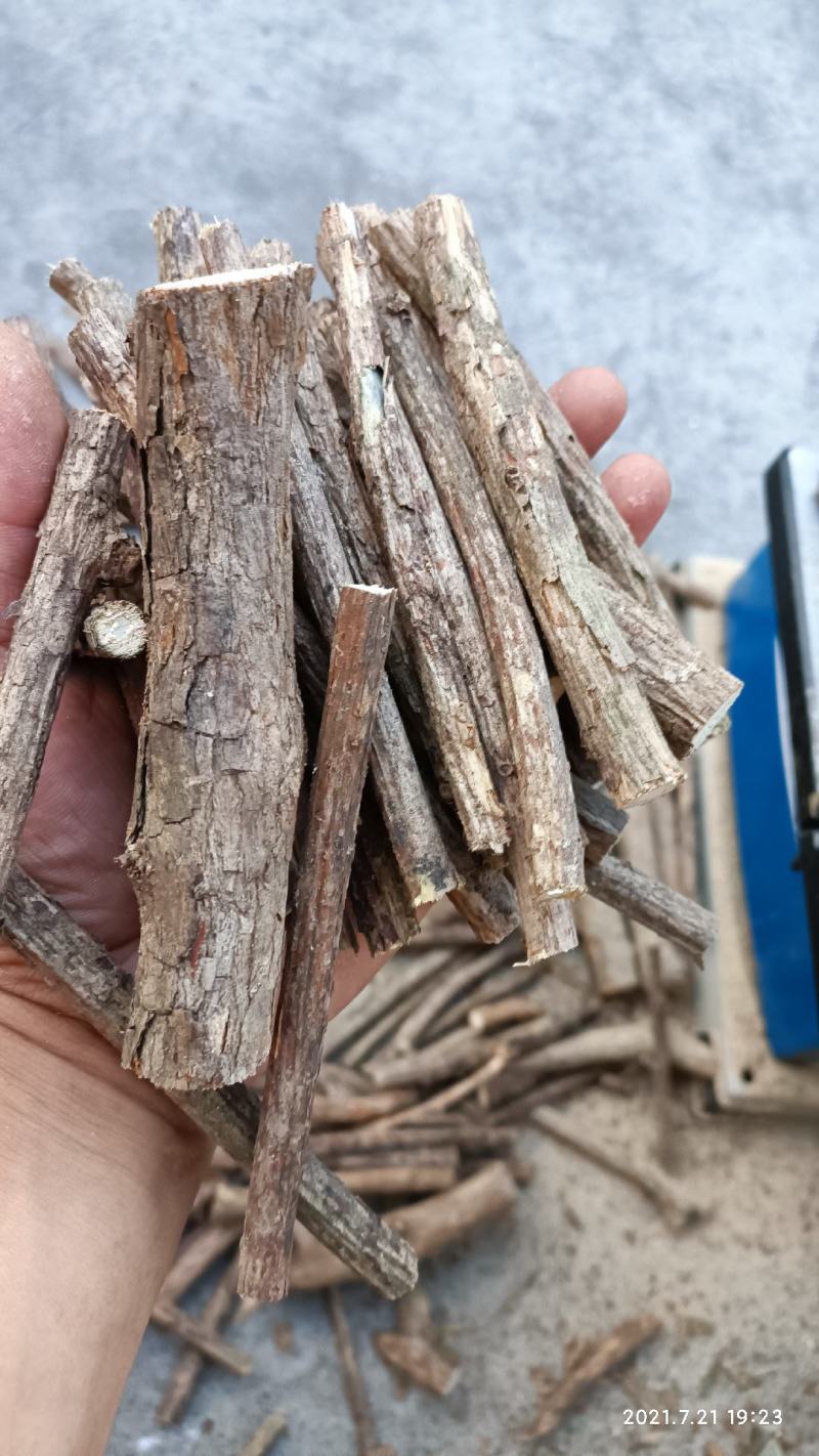木天蓼猫磨牙零食