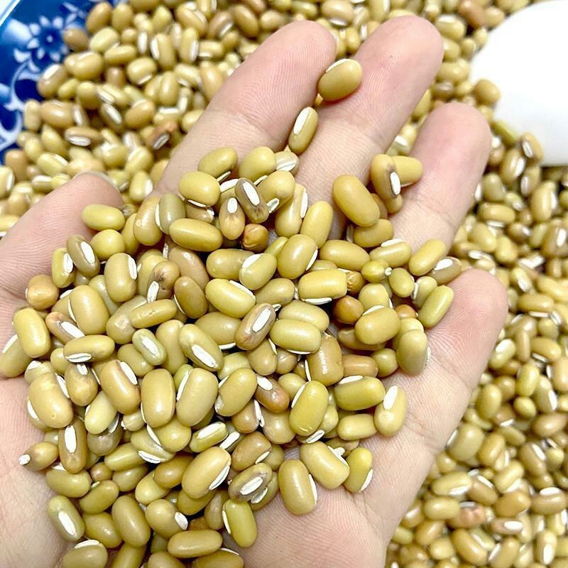 新货竹豆农家自产眉豆饭豆藤蔓小爬豆米豆江豆杂粮