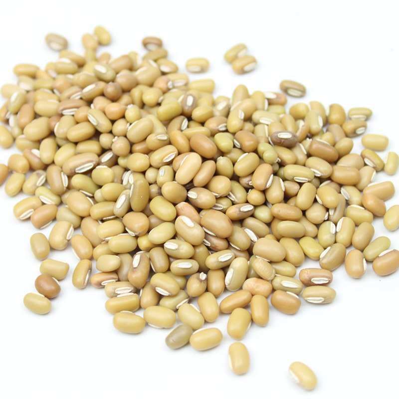 新货竹豆农家自产眉豆饭豆藤蔓小爬豆米豆江豆杂粮