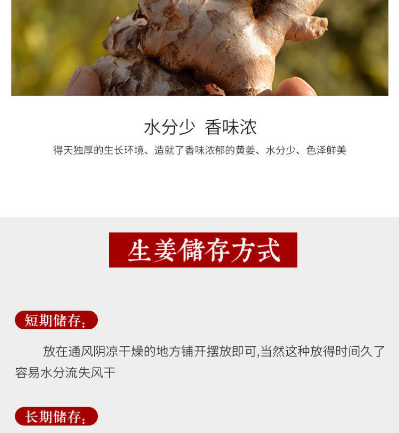 云南小黄姜(鲜品)老姜