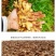 云南小黄姜(鲜品)老姜