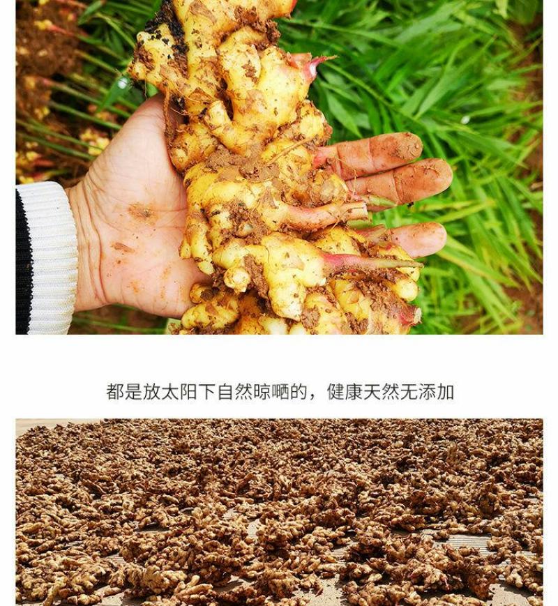 云南小黄姜(鲜品)老姜
