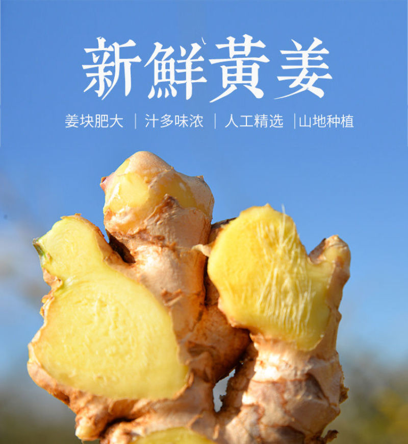 云南小黄姜(鲜品)老姜