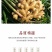云南小黄姜(鲜品)老姜
