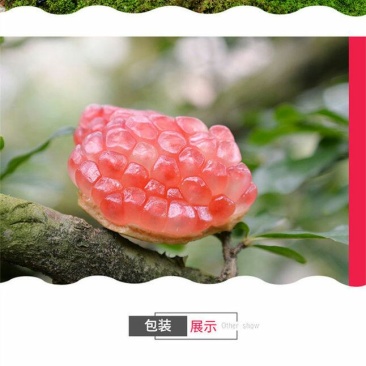 蒙自薄皮绿籽石榴